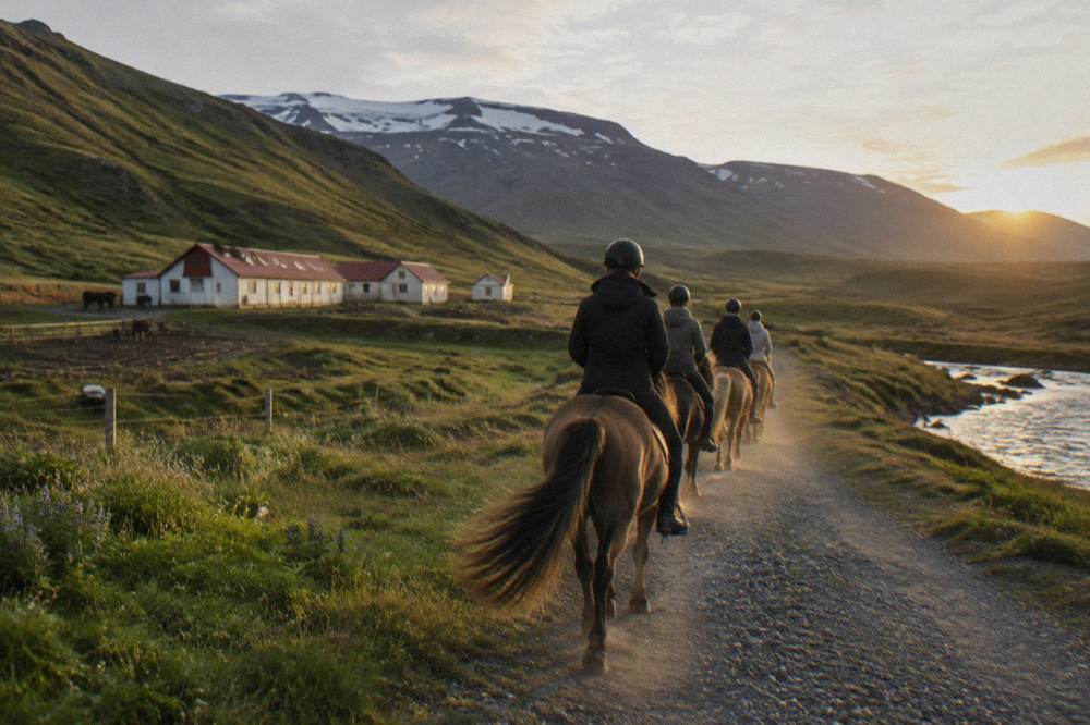 A group of riders on Icelandic horses walking single file along a gravel path between green hills