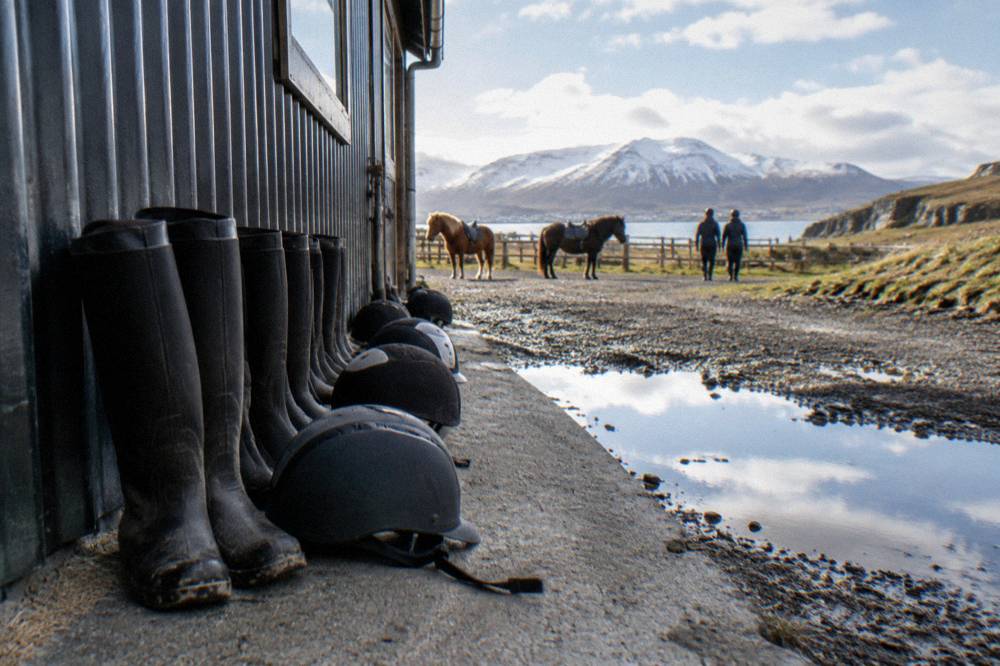 Clean rubber boots and riding helmets lined up along a stable wall