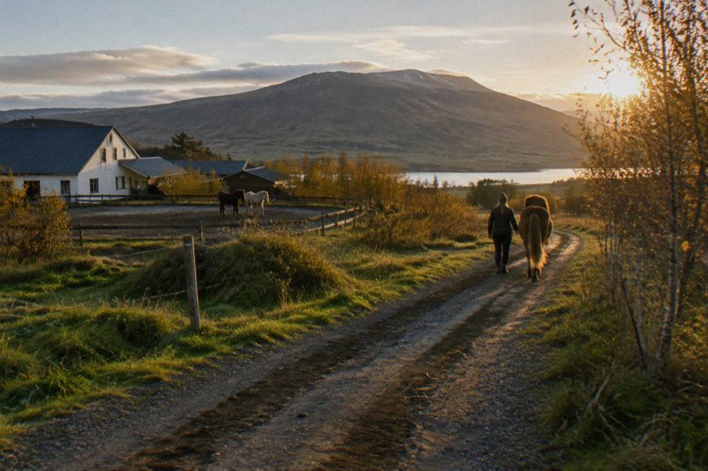 A quiet gravel track through green countryside with low hills in the distance