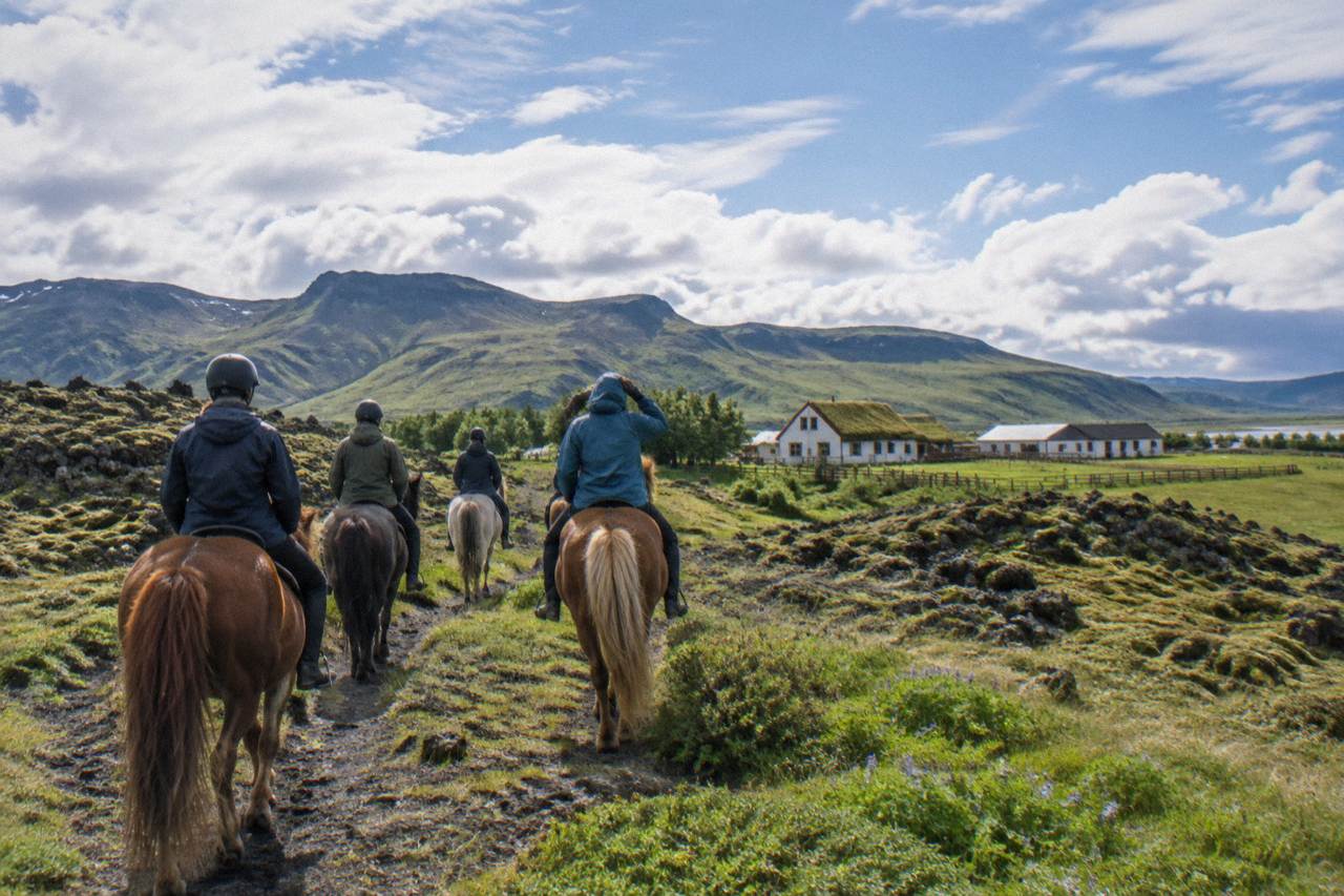A small group of riders on Icelandic horses crossing a green lava field trail under a wide sky