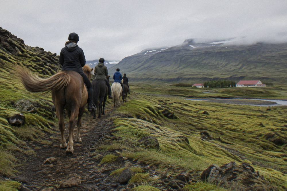 A small group of riders walking their Icelandic horses single file along a mossy lava trail under a grey sky