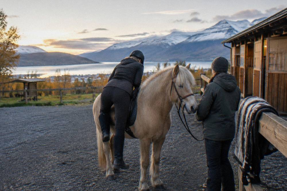 A rider dismounting from a palomino Icelandic horse beside a stable yard while a guide holds the reins