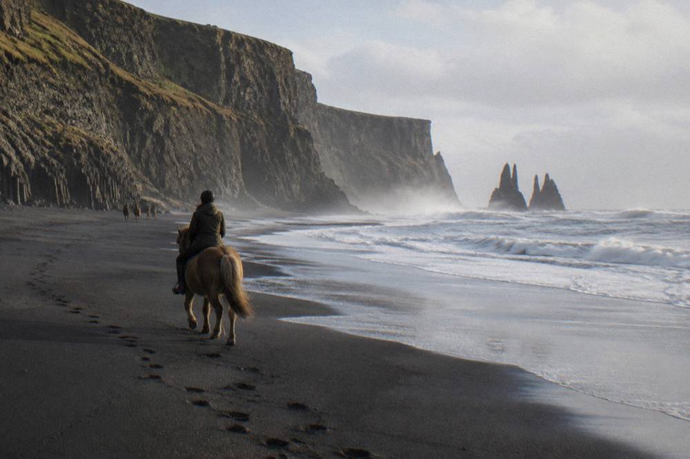A rider on an Icelandic horse crossing a black sand beach with basalt cliffs behind