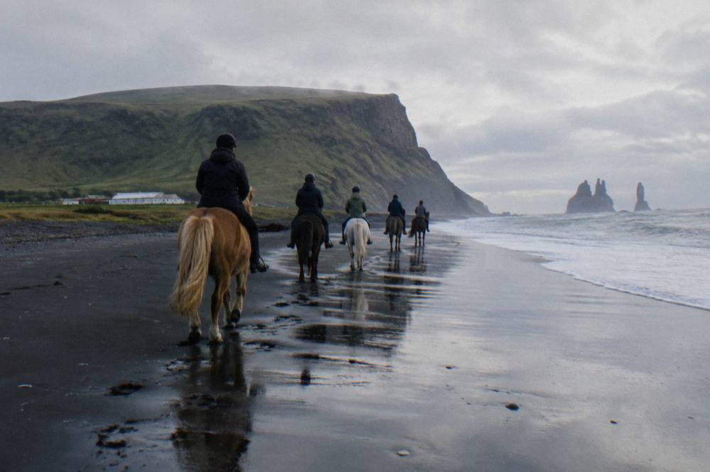 A line of riders on Icelandic horses crossing wet black sand with the ocean to one side