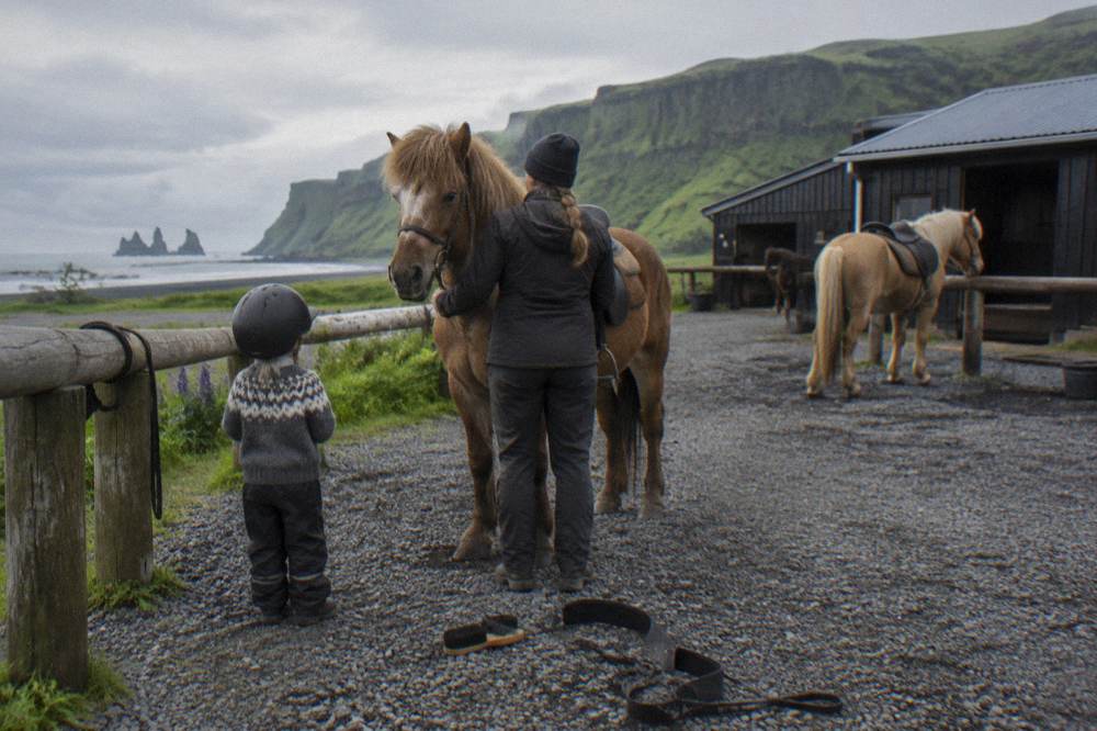 A guide helping a child adjust a helmet beside a saddled Icelandic horse near a beach stable