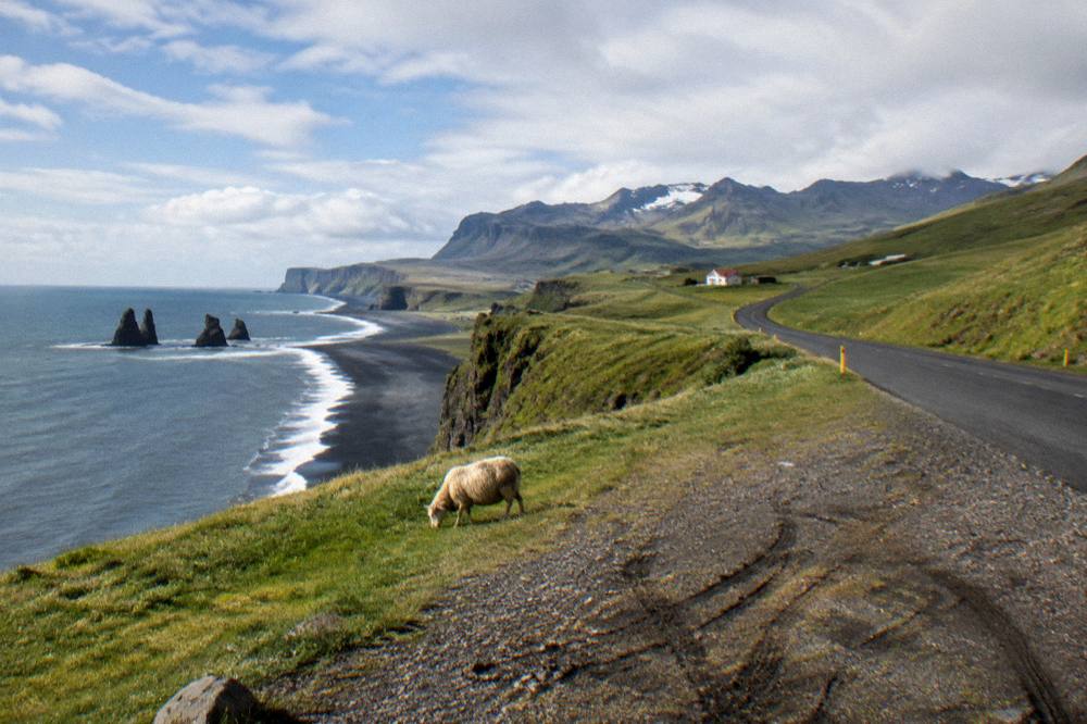 A coastal road winding along green cliffs with the ocean and black shoreline beyond
