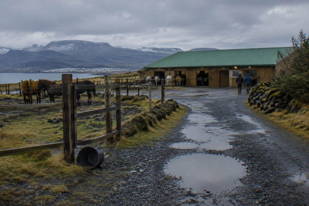 A gravel track leading toward a stable building with mountains in the distance