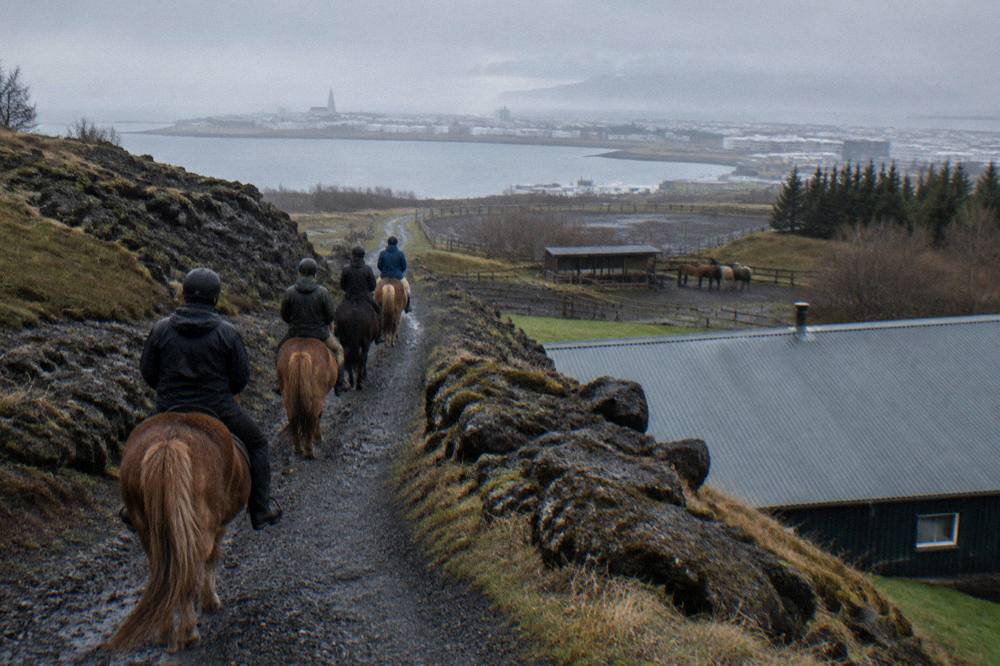 A small group of riders walking Icelandic horses single file along a gravel path