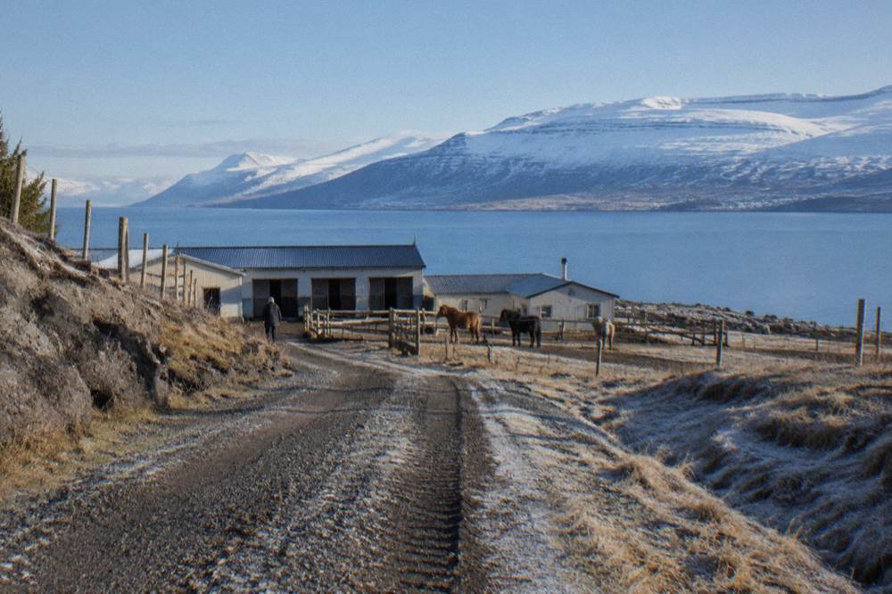 A gravel farm road leading toward stables with fjord water beyond