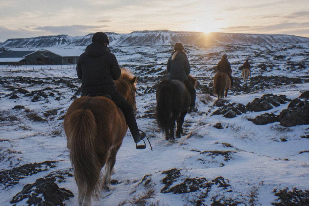 Riders on Icelandic horses crossing a snow-dusted lava field in low winter light