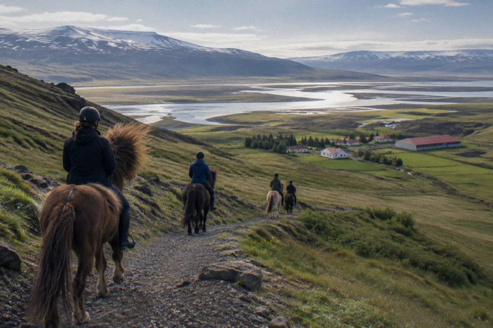 Riders on Icelandic horses following a gravel trail through a green valley
