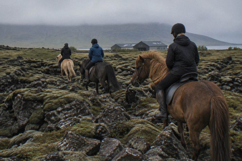 Riders on Icelandic horses crossing dark lava rock terrain near Reykjavik
