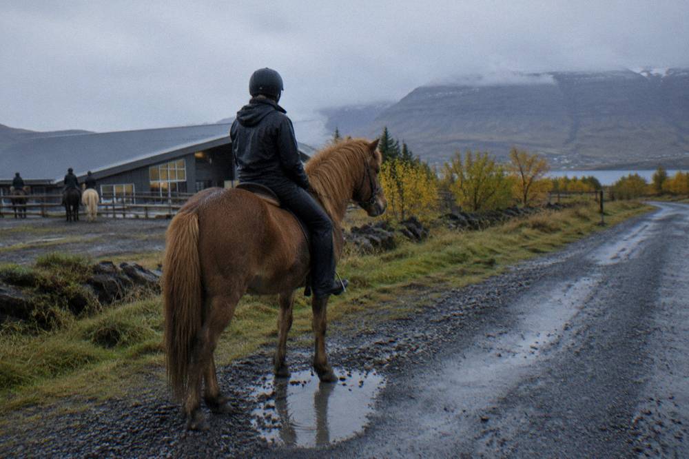 A rider in a helmet and rain jacket on an Icelandic horse beside a gravel road
