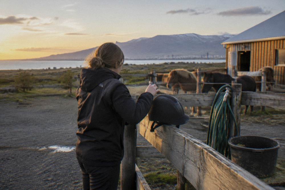 A guide fitting a riding helmet on a fence rail before a tour at a Icelandic horse stable yard