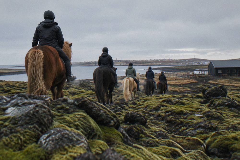 Riders on Icelandic horses crossing a dark lava field with mossy rocks and low hills