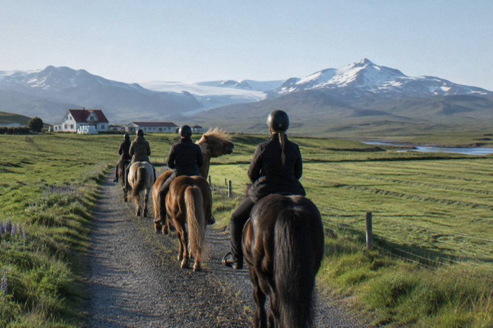 A small group of riders walking single file along a gravel path between green hills on a bright day