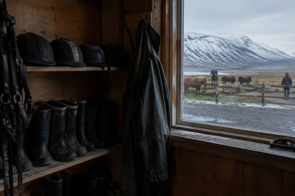 Riding helmets and rubber boots lined up on a shelf inside a stable tack room
