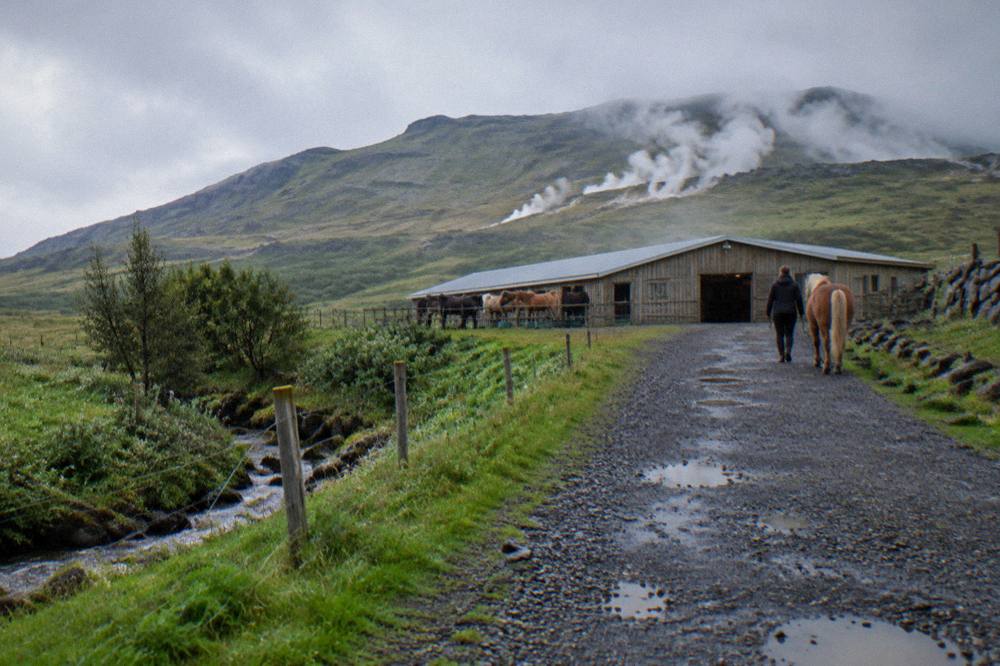 A gravel road leading toward a farm stable building with mountains behind under a cloudy sky