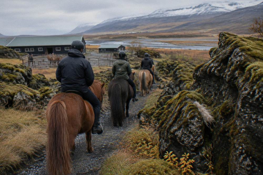 A small group of mounted riders walking single file along a gravel path between mossy lava rocks
