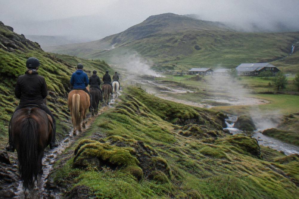 Riders on Icelandic horses crossing a moss covered lava field trail