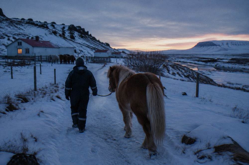A rider in a warm winter overall leading a horse along a snowy path at twilight