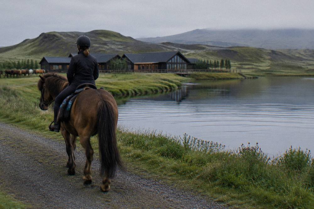 A rider on an Icelandic horse beside a calm lake with low green hills behind