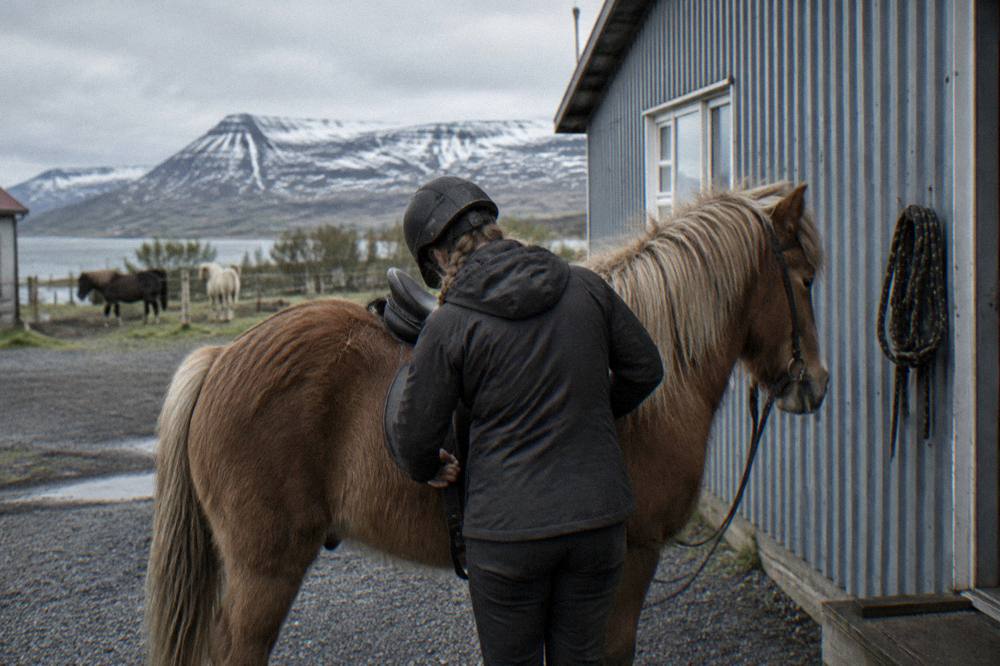 A guide adjusting a saddle on an Icelandic horse outside a stable building before a ride