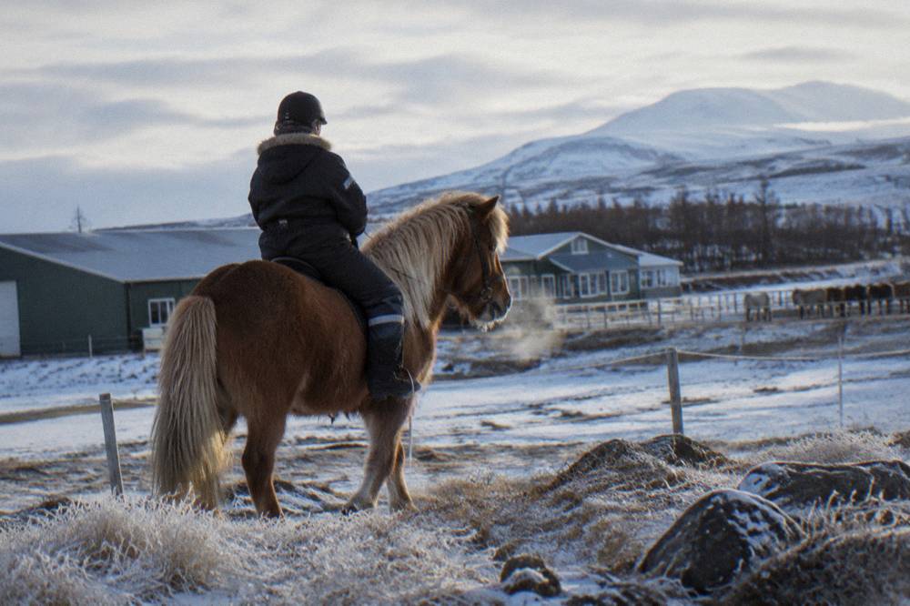 Rider in an insulated overall on an Icelandic horse across snow-dusted ground